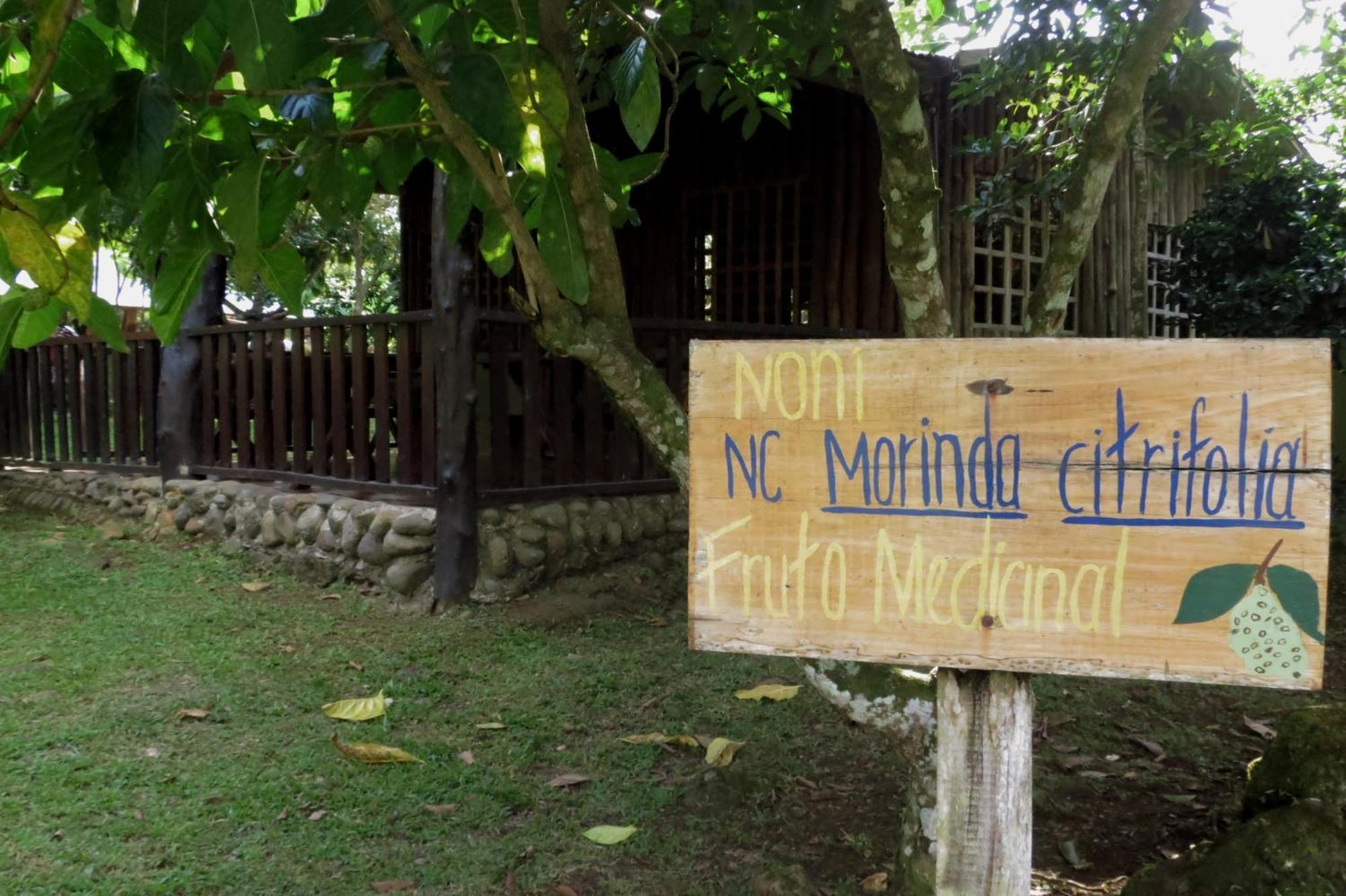 Villa Vocaré Agroecoturismo Upala Exterior foto