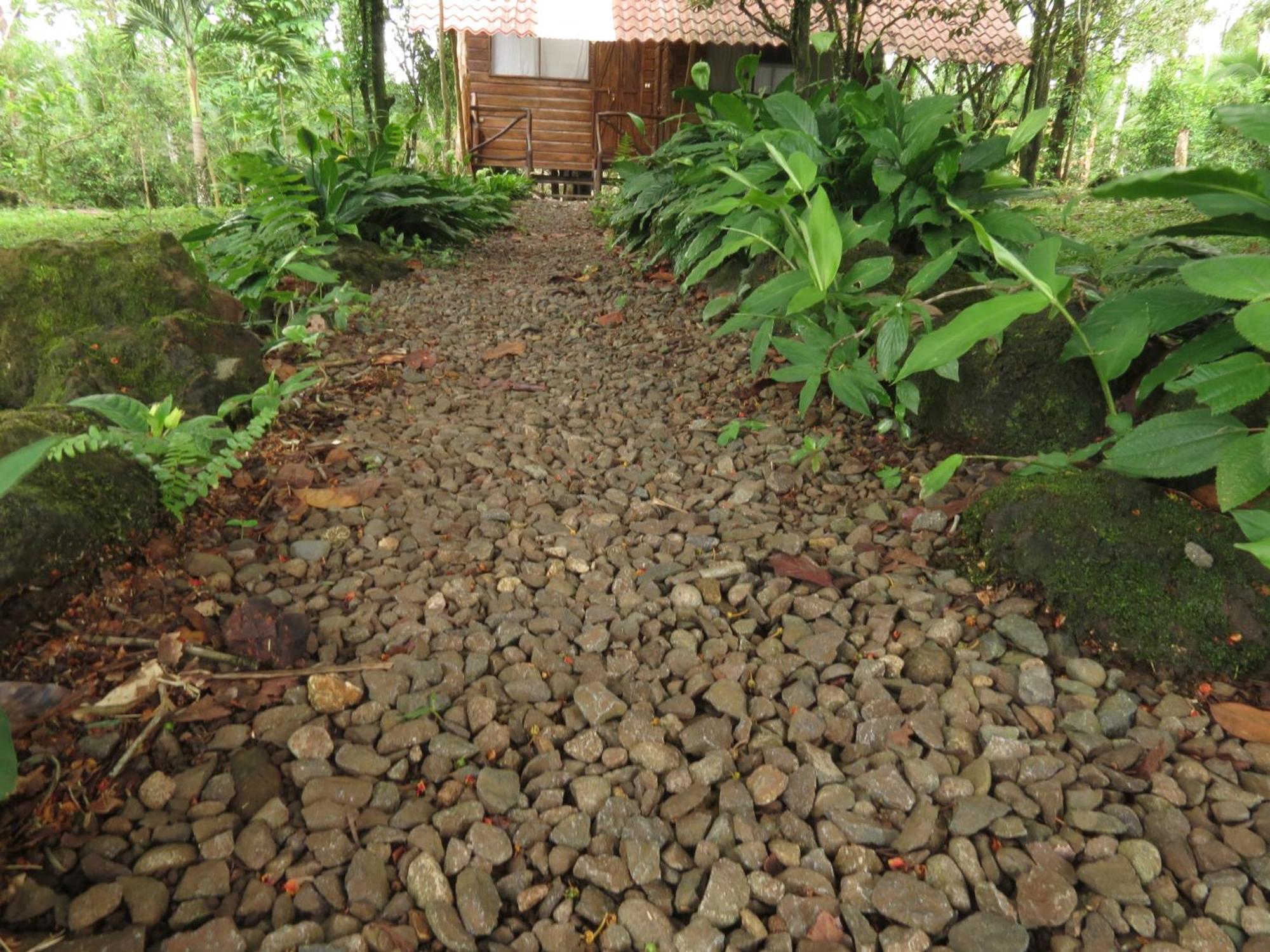 Villa Vocaré Agroecoturismo Upala Exterior foto