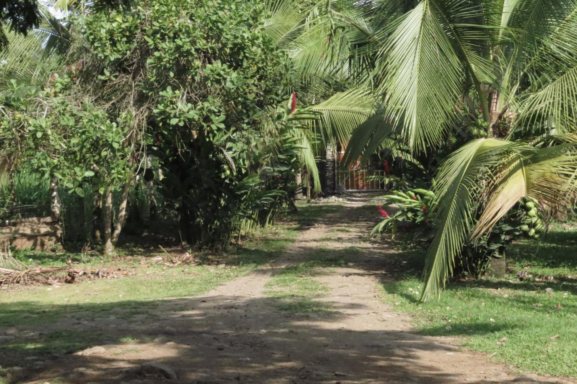 Villa Vocaré Agroecoturismo Upala Exterior foto