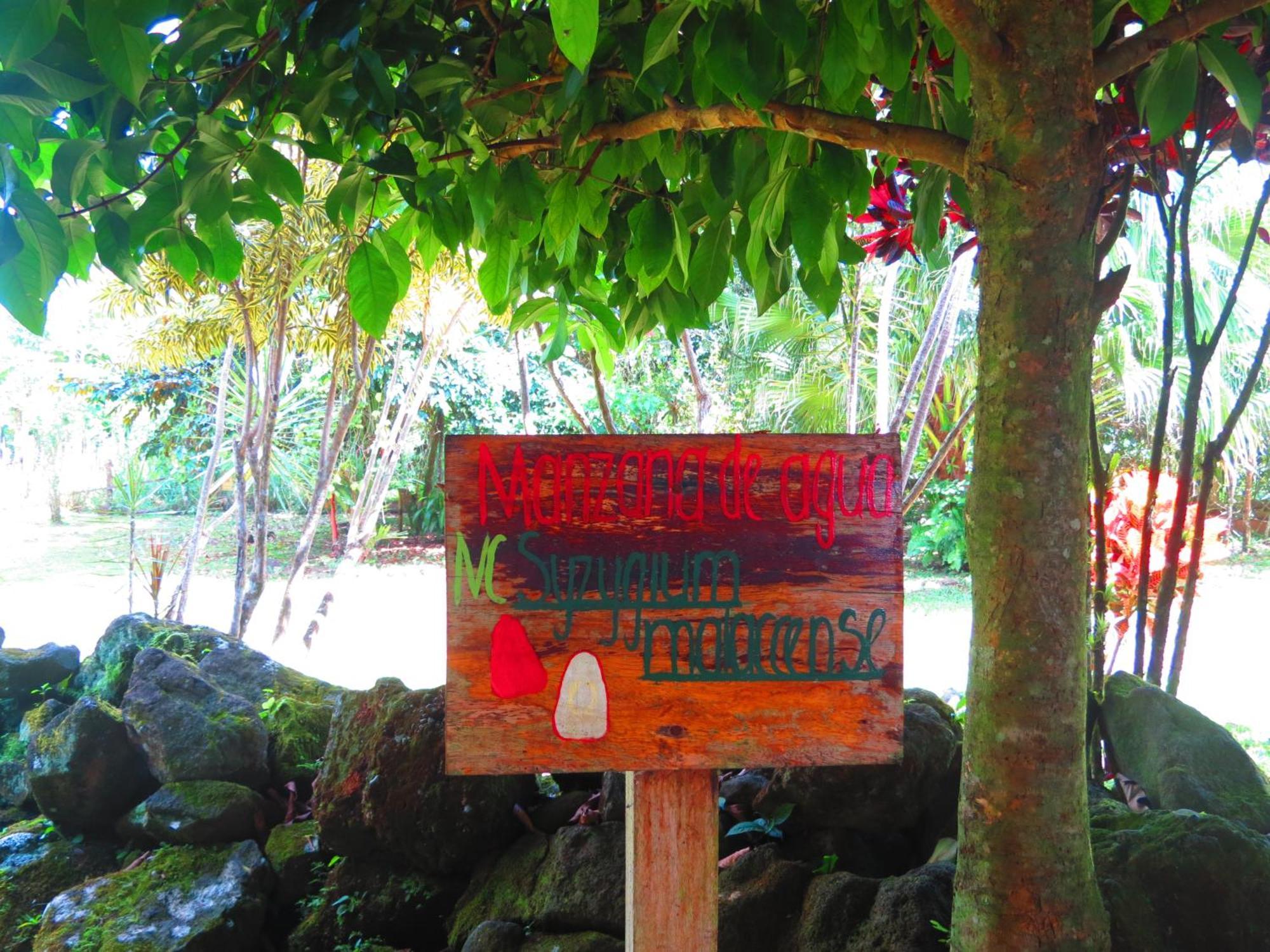 Villa Vocaré Agroecoturismo Upala Exterior foto